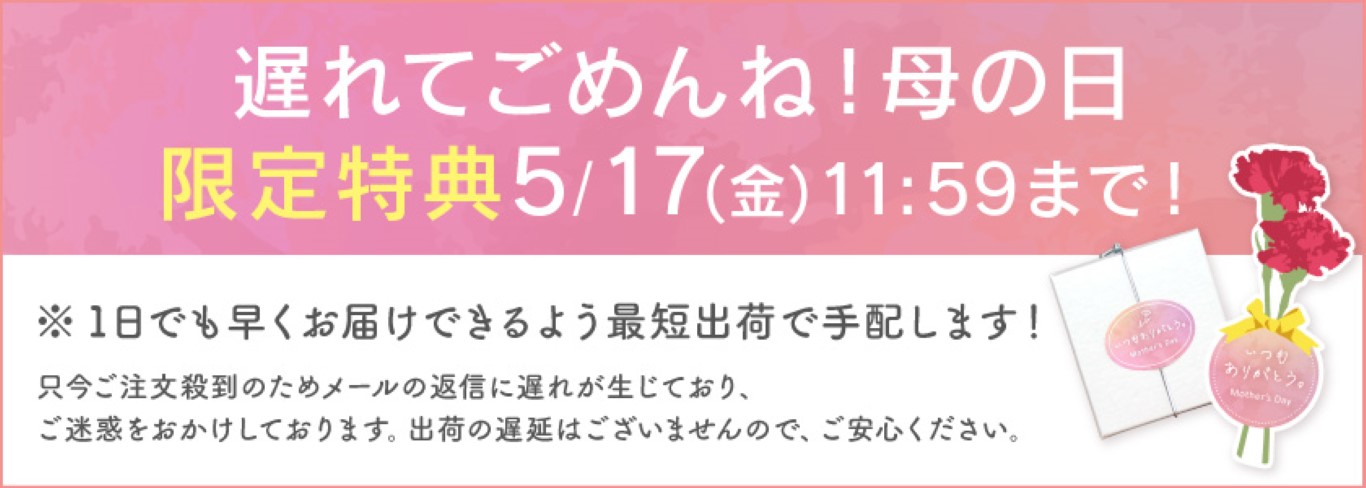 母の日遅れてごめんね