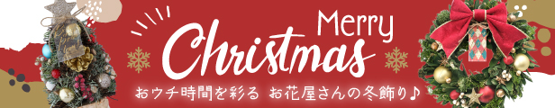 まりかクリスマスリース