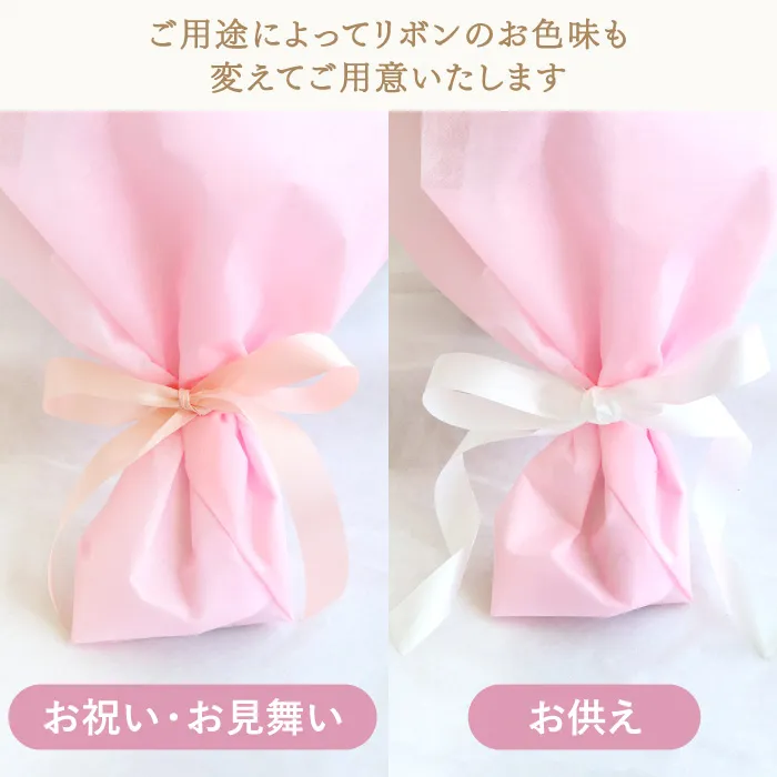 ご用途に合わせて