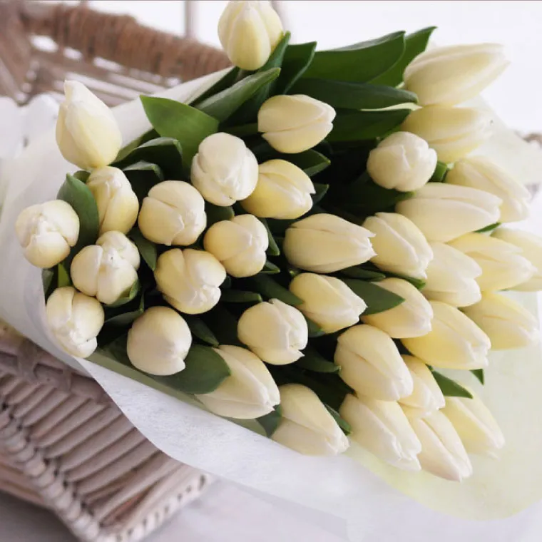 白いチューリップの花束 50本