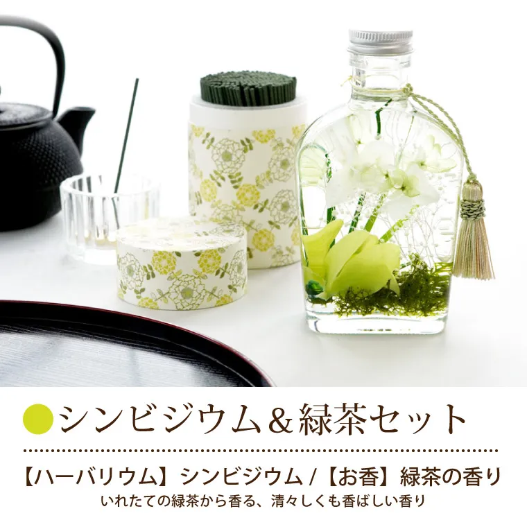 シンビジウム＆緑茶セット