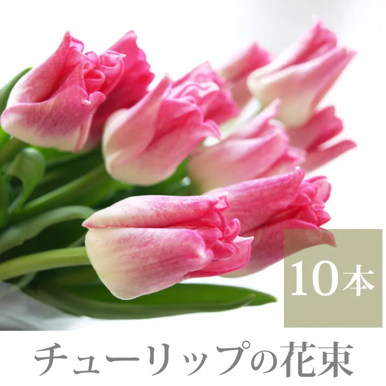チューリップの花束 10本