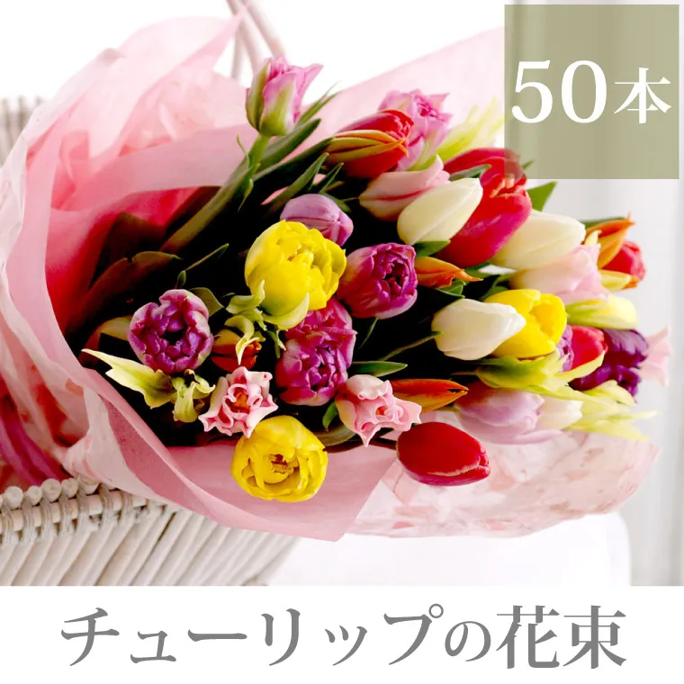チューリップの花束 50本