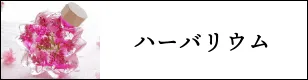 ハーバリウム