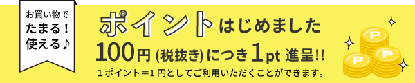 ポイント始めました