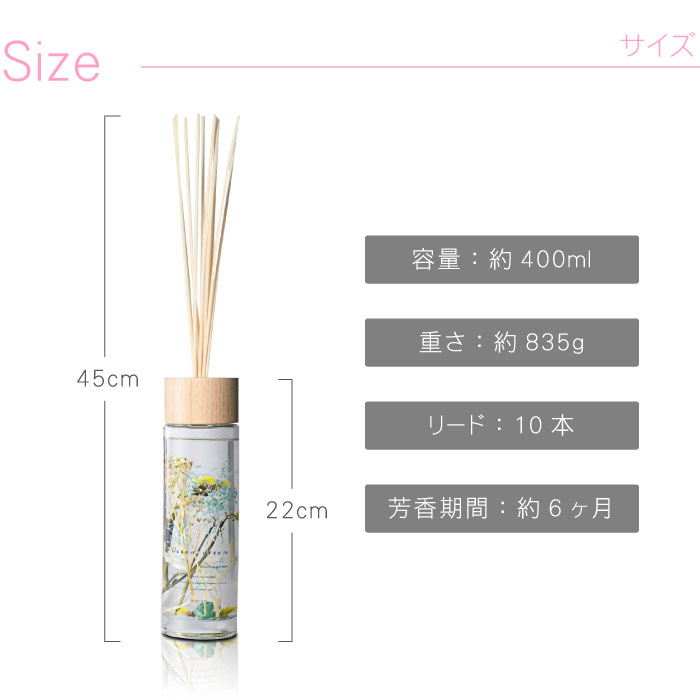 サイズ