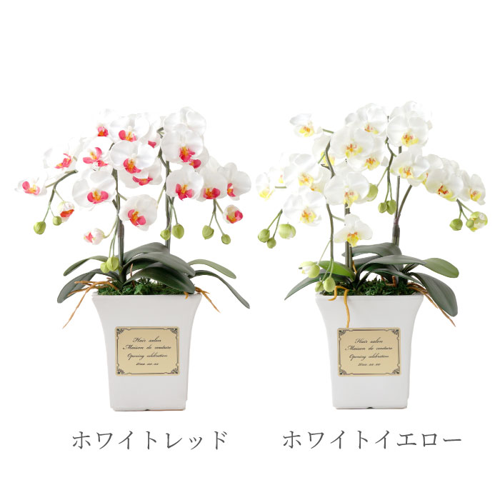 カラーバリエーション