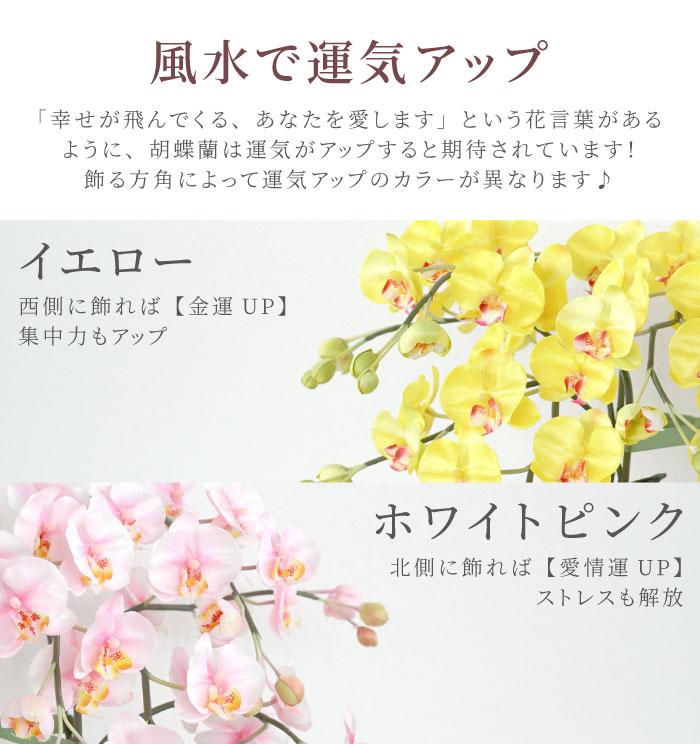 風水で運気アップ