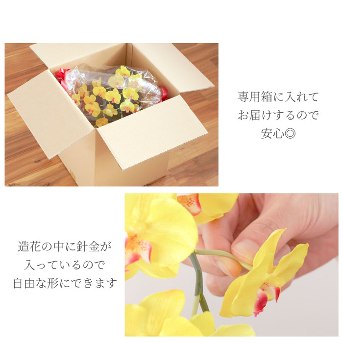 専用箱に入れてお届けするので安心