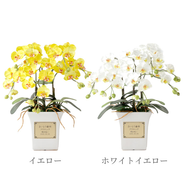 カラーバリエーション