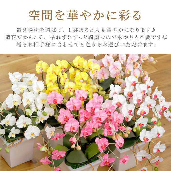 空間を華やかに彩る