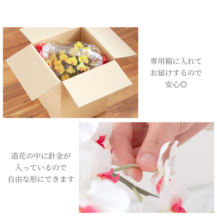専用箱に入れてお届けするので安心