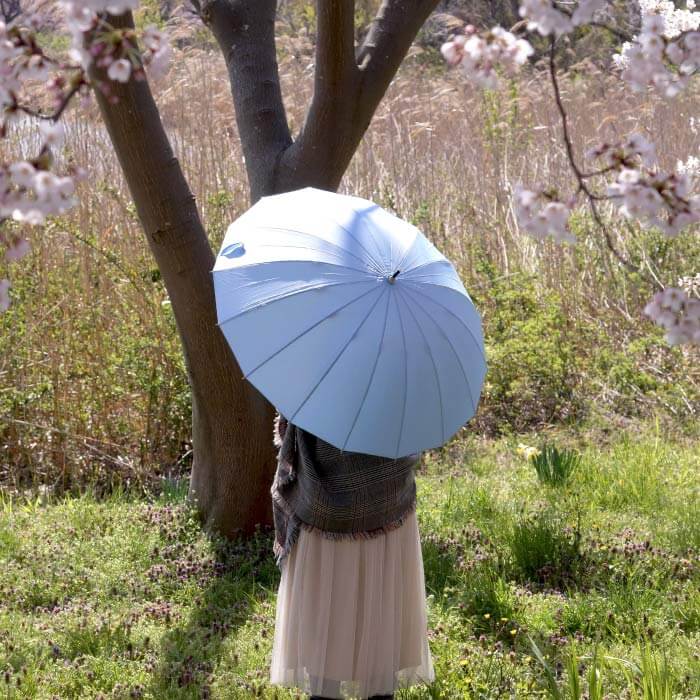 女性用の傘
