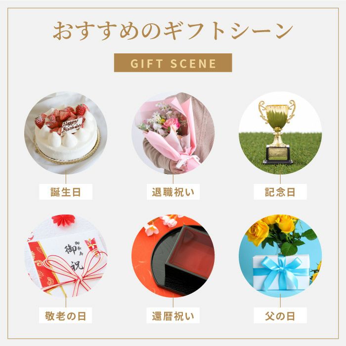 ワンタッチ メガネケース ５カラー