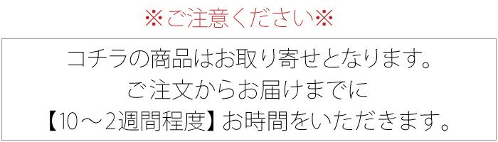 名入れサンビースタンペン4Fmetal