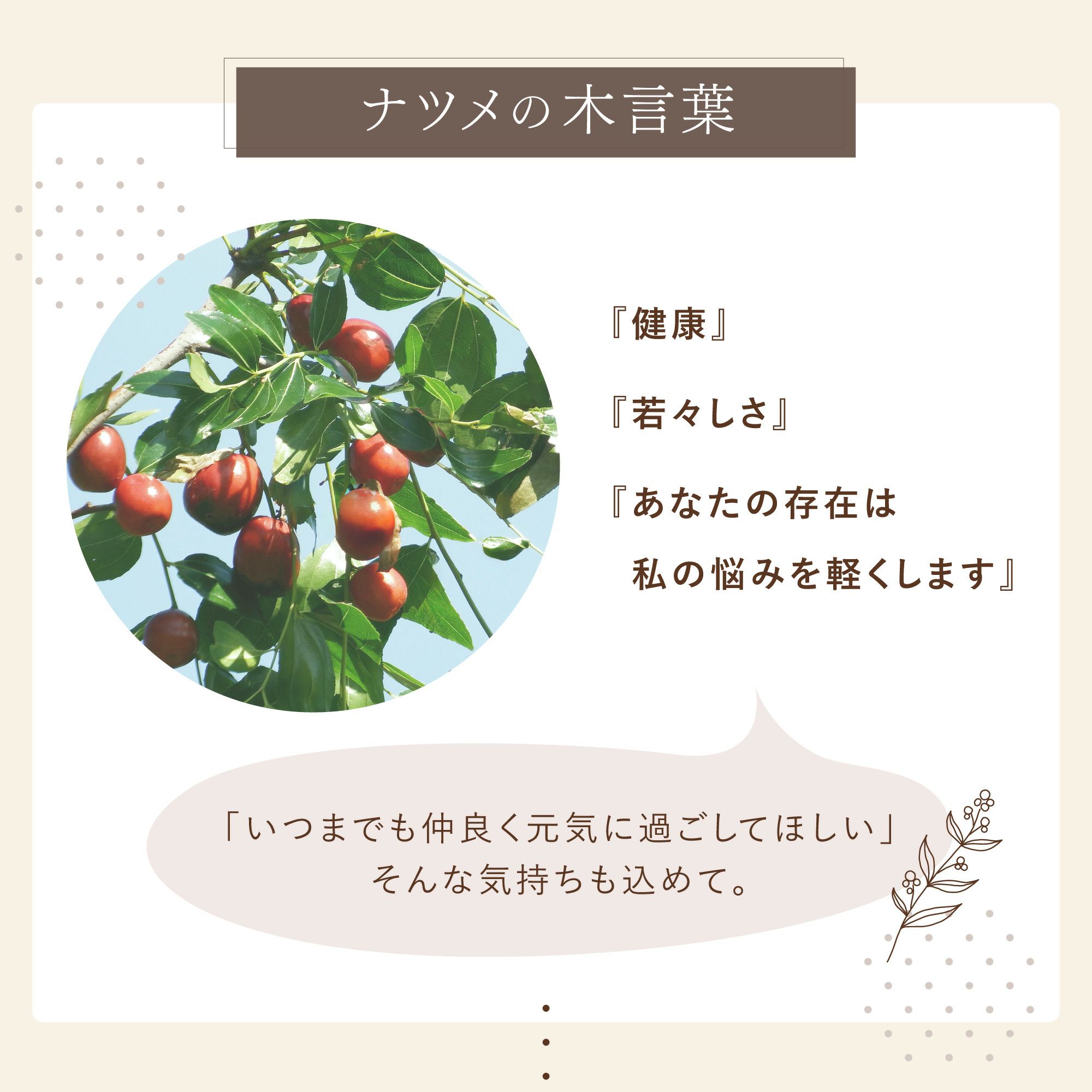 木製名入れエッグカップなつめペアセット