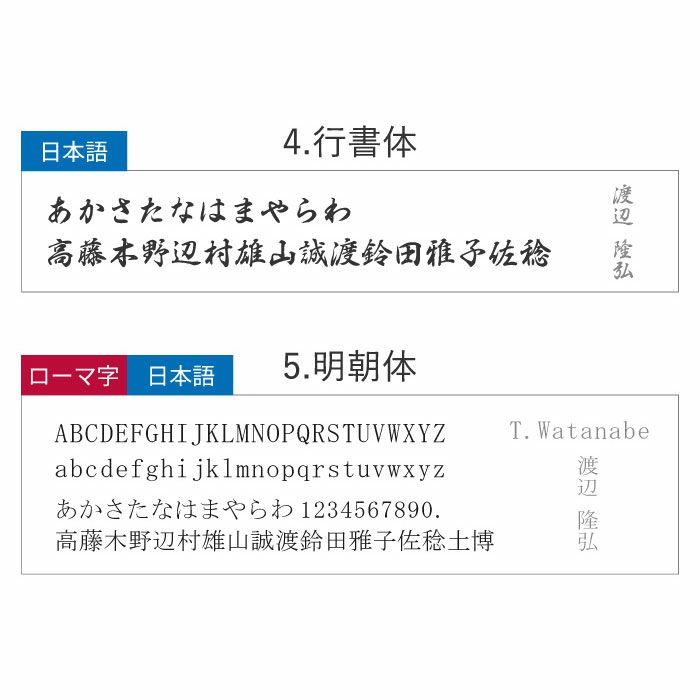 パイロットコクーン