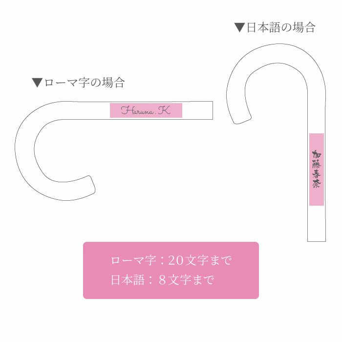 名入れ レディース晴雨兼用傘 花柄エンボス