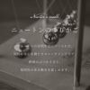 名入れ ニュートンのゆりかご（バランスボール）