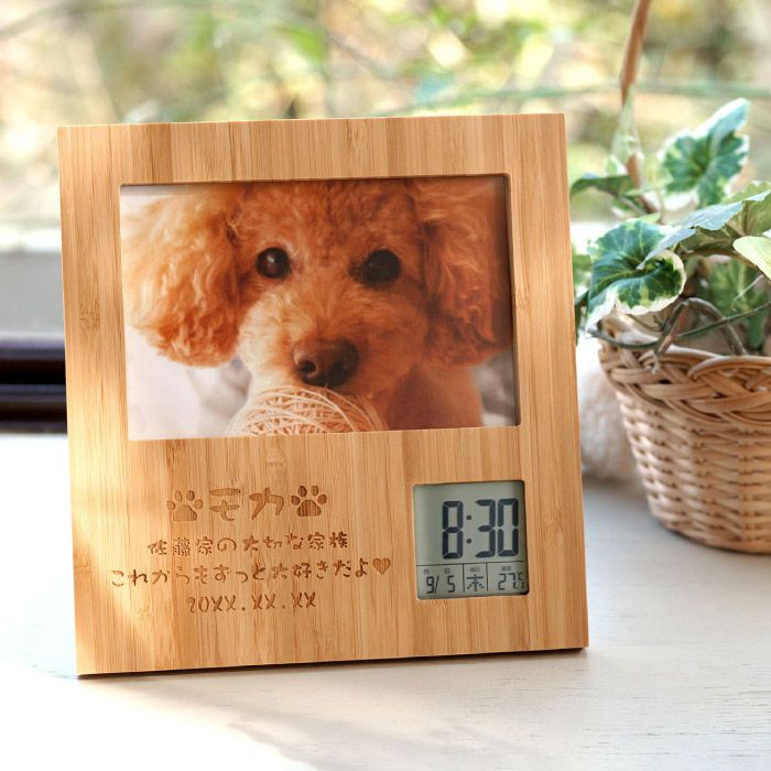 名入れ竹の節目フォトフレーム ペットVer.