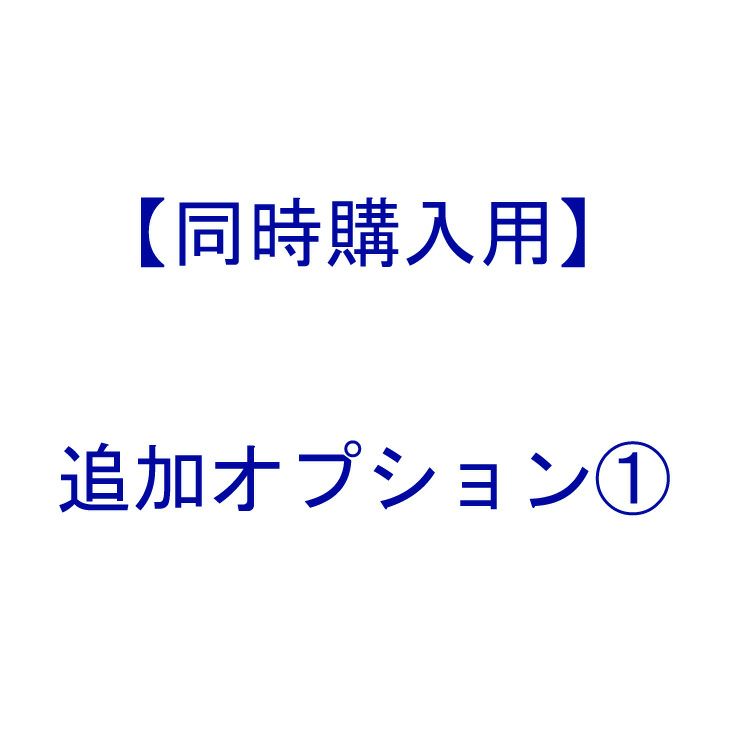 追加オプション