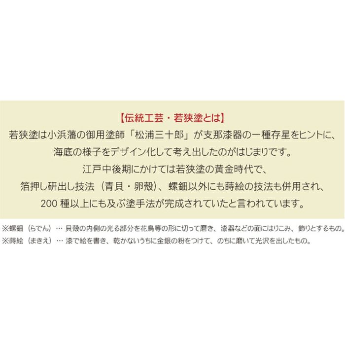 煌きあわび箸