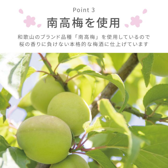 名入れ さくら梅酒（単品） 500ml