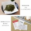 美濃焼 ふくろう湯呑＋お茶セット