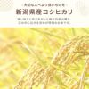 魚沼塩沢産コシヒカリ