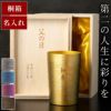 燕製 彩るチタンタンブラー 270ml 単品