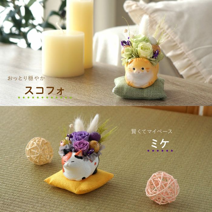 くつろぎ猫プリザ