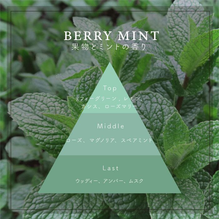 ソイキャンドル BERRY MINT / ベリーミント