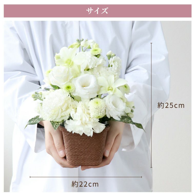 サイズ 高さ25cm 幅23cm