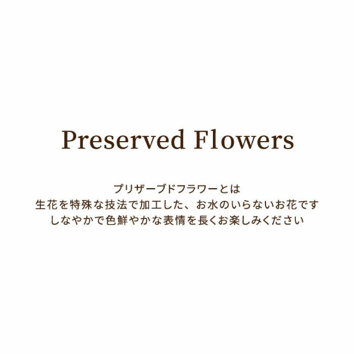 『フォトボックス』 プリザーブドフラワー