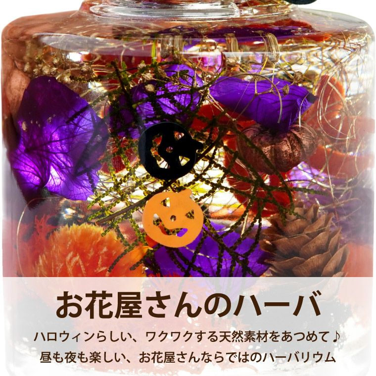 ハロウィンナイト ハーバリウム LED ライト付き