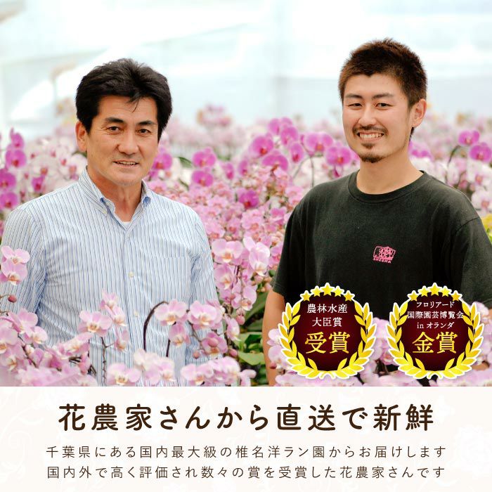 生産者