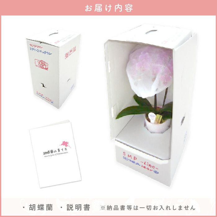 梱包