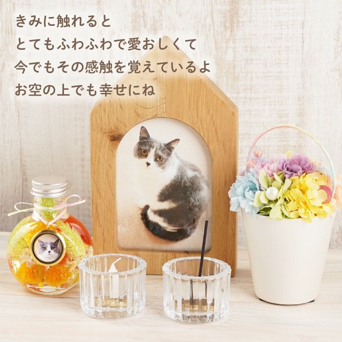 ペットちゃんのふわふわメモリーハーバリウム