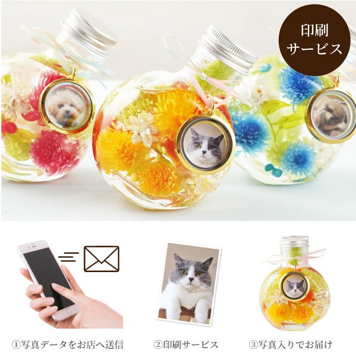 ペットちゃんのふわふわメモリーハーバリウム