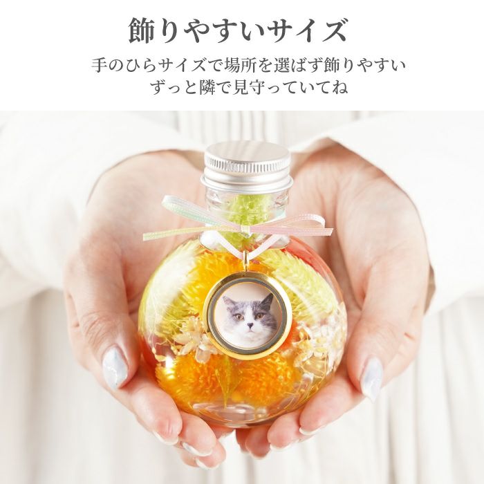 ペットちゃんのふわふわメモリーハーバリウム