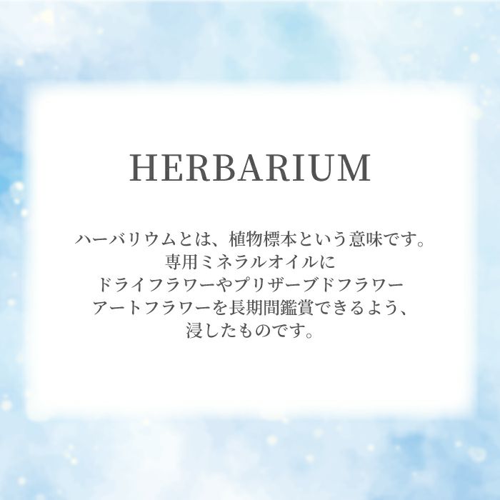 ペットちゃんのふわふわメモリーハーバリウム