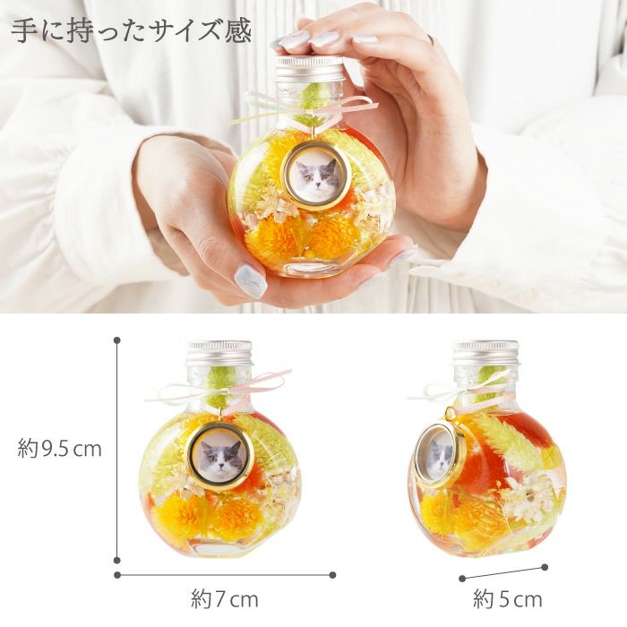 ペットちゃんのふわふわメモリーハーバリウム