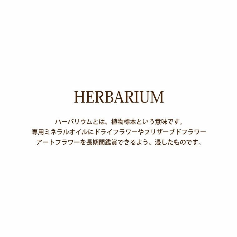ペットちゃんの虹の橋 ハーバリウム シャイニー