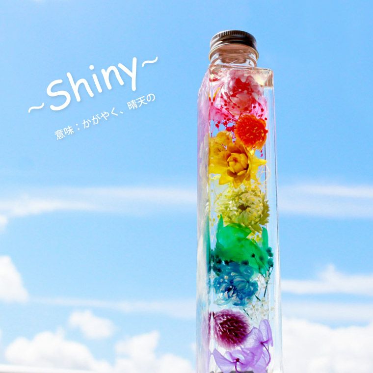 ペットちゃんの虹の橋 ハーバリウム シャイニー