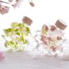 サクラノカタチ 桜ハーバリウム