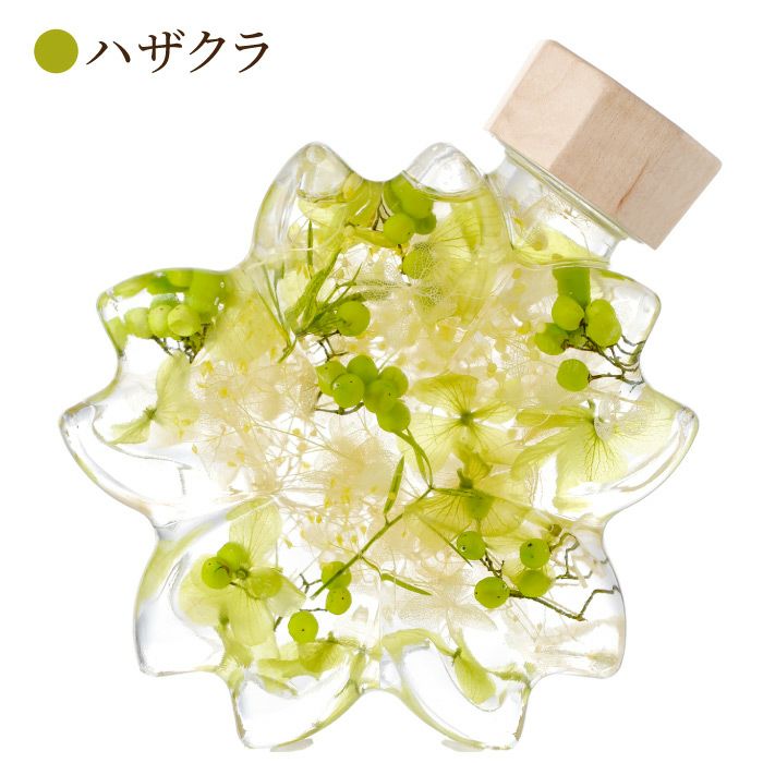 サクラノカタチ 桜ハーバリウム