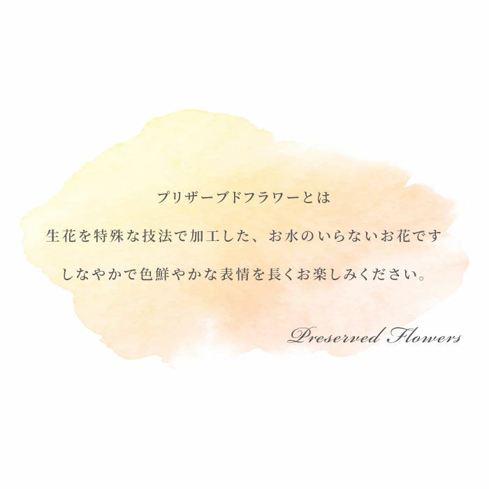 花電報・祝電 プリザーブドフラワー