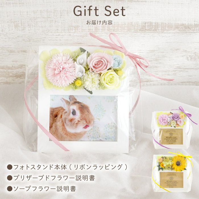 ペットちゃんのメモリアル フォトスタンド