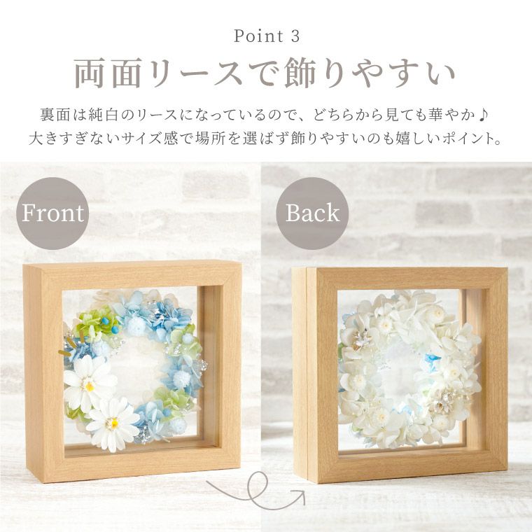 ジニアとイモーテルのリース