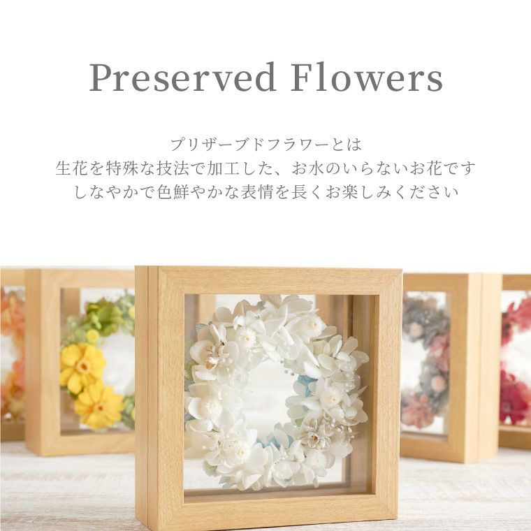 ジニアとイモーテルのリース